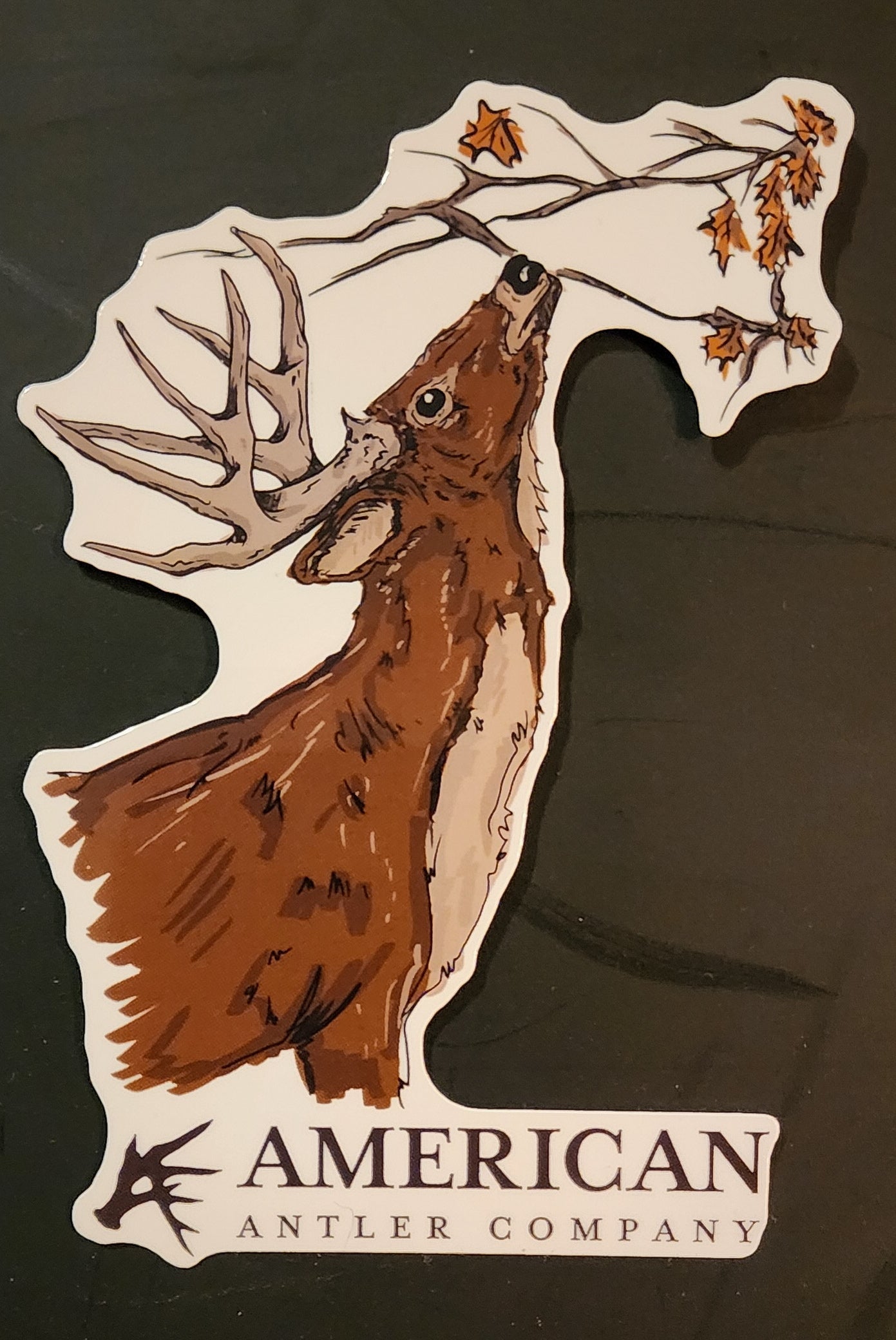 Buck Scrape sticker