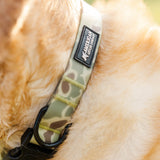 Waterproof Dog Collar