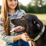 Waterproof Dog Collar