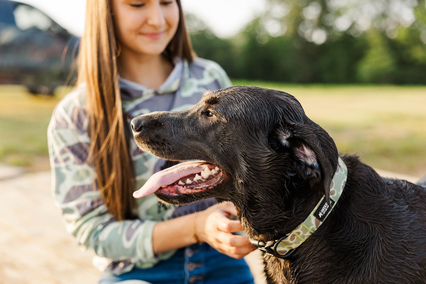 Waterproof Dog Collar