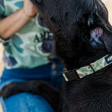 Waterproof Dog Collar