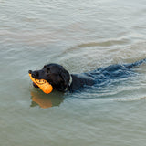 Waterproof Dog Collar