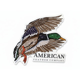 Mallard Sticker